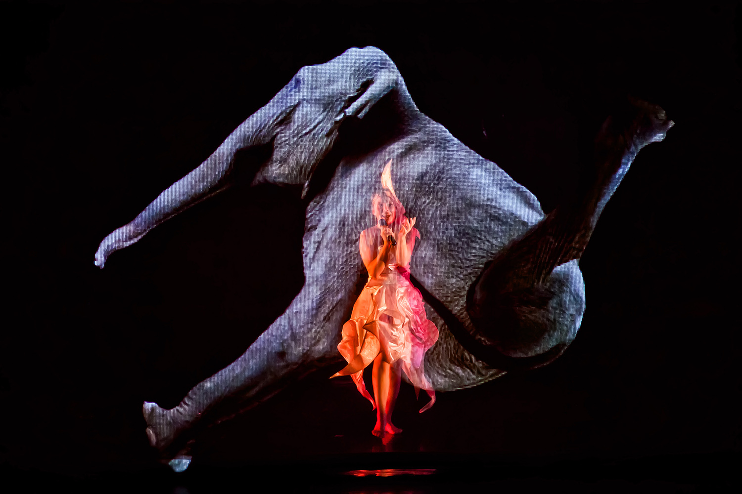 Fotó Mészáros Csaba - Az éjszaka csodái_Tünet_Együttes (1) másolata.jpg